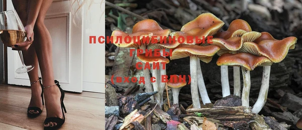гашишное масло Белокуриха
