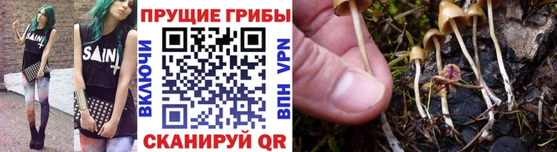 Галлюциногенные грибы ЛСД  Купить где  Белоозёрский 